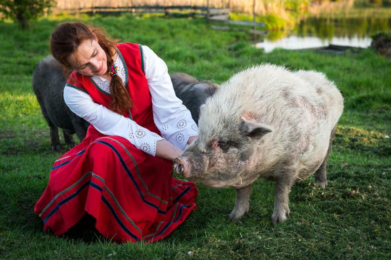 Tierstiftung Eulalia Lägenhet Babieta Exteriör bild